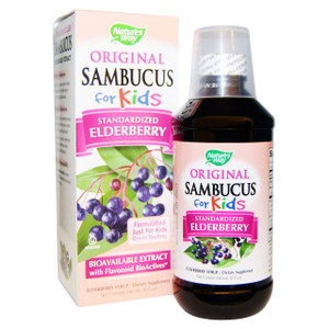 Natures Way, Sambucus For Kids, Standardized Elderberry, Original Syrup, 8 fl oz (240 ml)