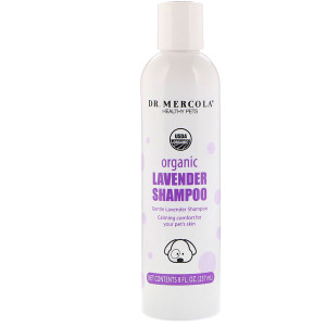 Dr. Mercola Organic Lavender Shampoo for Dogs -- 8 fl oz