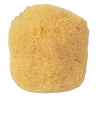 3 PACK OF Manicare Cosmetic Sea Sponge