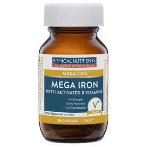 3 PACK OF Ethical Nutrients Megazorb Mega Iron with Activated B Vitamins 30 Capsules