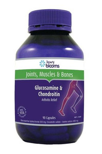 3 PACK OF Henry Blooms Glucosamine & Chondroitin 90 Capsules