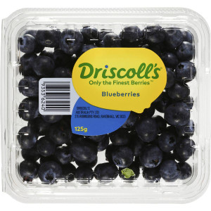 5 PACK of Fresh Blueberries 125g