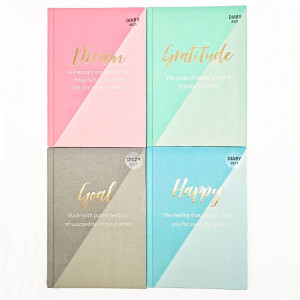 3 PACK OF 2021 Hardcover Pastel Diary Assorted