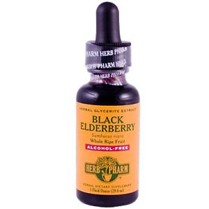Herb Pharm, Black Elderberry, Alcohol-Free, 1 fl oz (30 ml)
