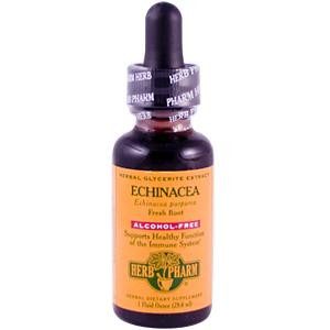 Herb Pharm, Echinacea, Alcohol-Free, 1 fl oz (29.6 ml)