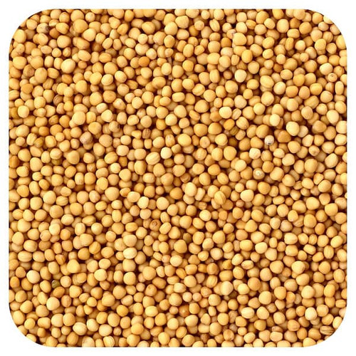 <img alt="Frontier Co-op, Organic Whole Yellow Mustard Seed, 16 oz (453 g)" title="Frontier Co-op, Organic Whole Yellow Mustard Seed, 16 oz (453 g),089836003430"