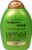 3 PACK of Organix Hydrating Teatree Mint Conditioner -- 13 fl oz