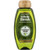 3 PACK of Garnier, Whole Blends, Legendary Olive Replenishing Shampoo, 22 fl oz (650 ml)