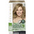 3 PACK OF Clairol Natural Instincts 8a Medium Cool Blonde