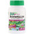 <img alt="Natures Plus Herbal Actives Boswellin -- 300 mg - 60 Vegetarian Capsules" title="Natures Plus Herbal Actives Boswellin -- 300 mg - 60 Vegetarian Capsules,097467071247"