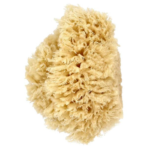 <img alt="Baby Buddy, Premium Quality Wool Sea Sponge, 1 Sponge" title="Baby Buddy, Premium Quality Wool Sea Sponge, 1 Sponge,047414014018"