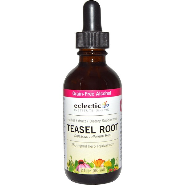 Eclectic Institute, Teasel Root, Grain-Free Alcohol, 2 fl oz (60 ml)