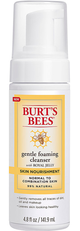 3 PACK of Burt's Bees Skin Nourishment Gentle Foaming Cleanser for Normal to Combination Skin -- 4.8 fl oz