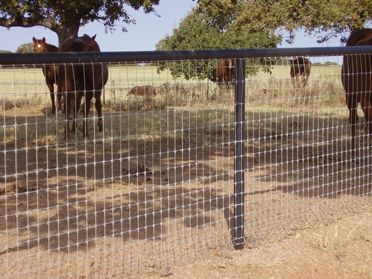 horse wire fencing