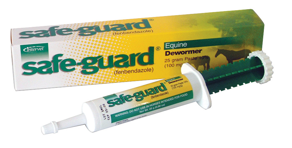 SafeGuard Equine Paste Horse Wormer DENNARDS