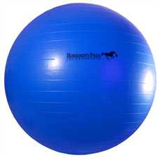 New! Jolly Mega Ball n  Cover