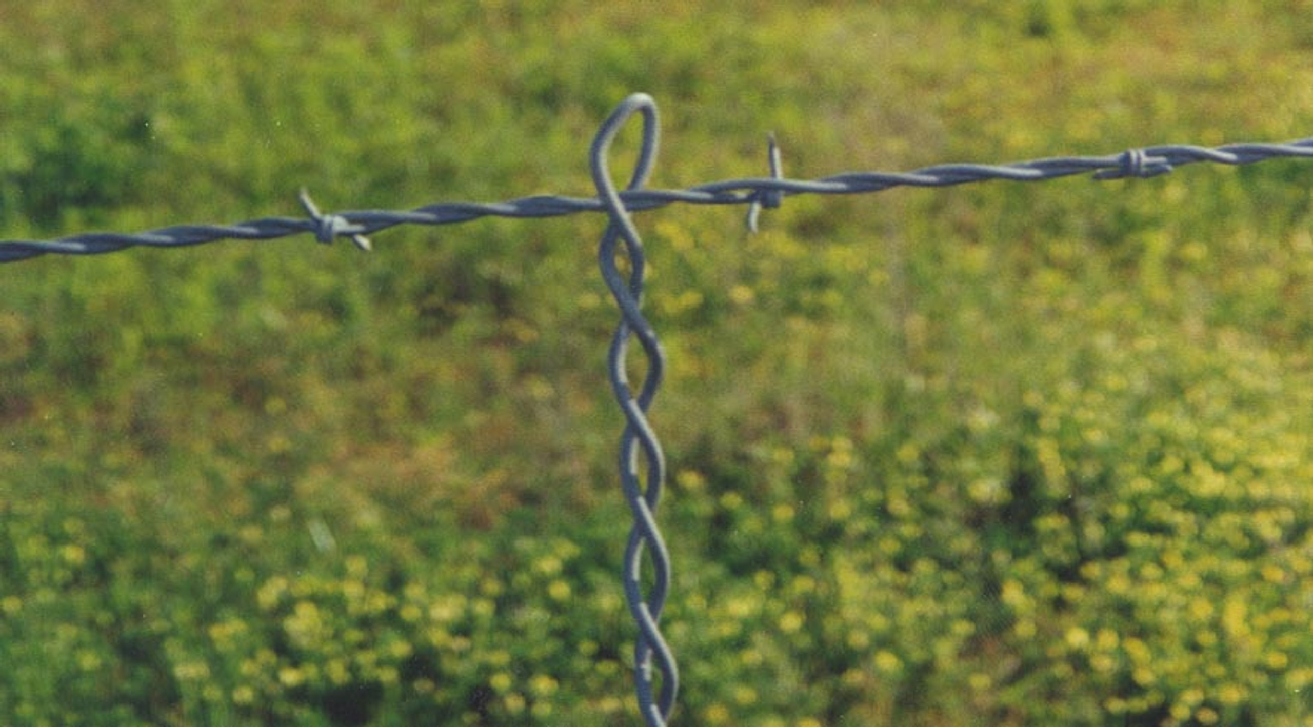 48" FENCE STAYS DENNARDS