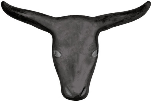 STEER HEAD