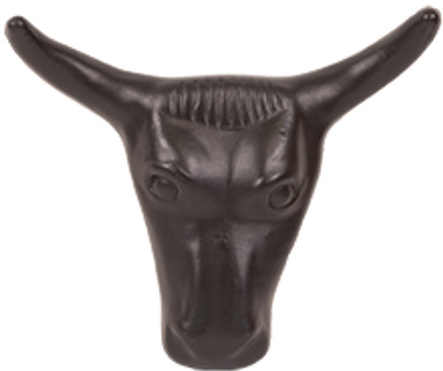 Junior Steer Head