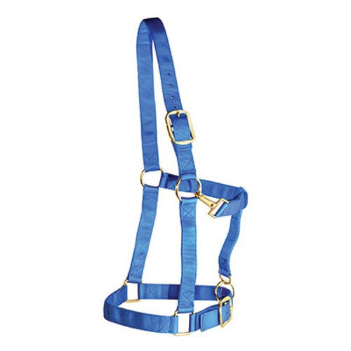 Weaver Draft Horse Halter Nylon - Large Draft