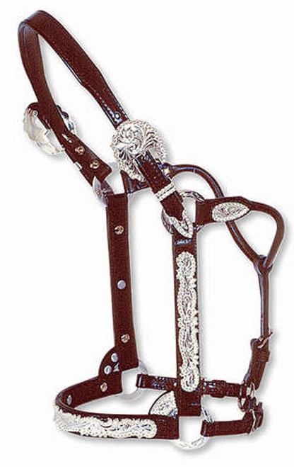 Halter Berry Edge (Yearling)