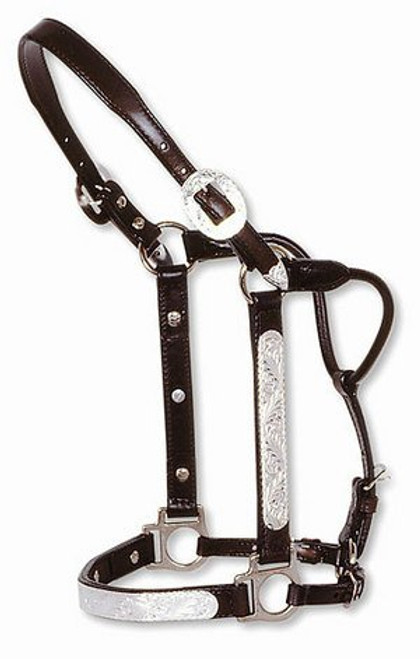 CIRCLE Y SHOW HALTER w/ ENGRAVED SILVER, Size Weanling #0319-5800