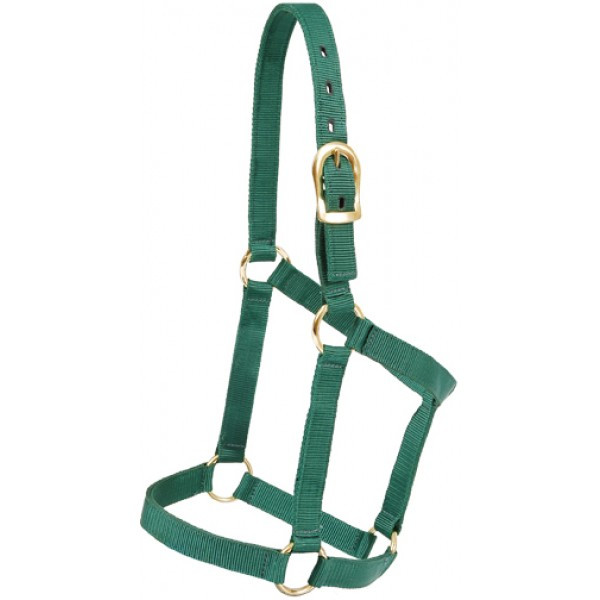 Economy Halter | Yearling