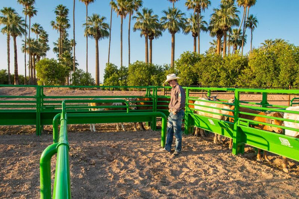 CHUTE HELP ADJUSTABLE ROPING BOX SET