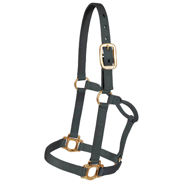 Traditional Nylon Halter | Yearling