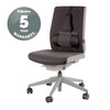 Fellowes Professional Series Ultimate Back Support, Microban Antibacterial, Tri-Tachment, Black - 8041801 – image 7