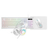 VIDA Gamer 4-in-1 Gaming Kit, RGB Keyboard, Mouse, Headset and Mouse Mat, UK Layout, White - GAMER4IN1-WHT