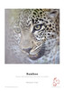 Hahnemühle Digital FineArt Bamboo Inkjet Paper, 290gsm, A2, 25 Sheets, Natural White – image 2