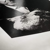 Hahnemühle Photo Rag Baryta Inkjet Paper, 315gsm, High Gloss, A3, 25 Sheets – image 2