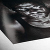 Hahnemühle FineArt Baryta FB 350gsm Digital FineArt Paper, A3+, Bright White, 25 Sheets – image 3