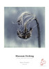 Hahnemühle Digital FineArt Museum Etching Paper, 350gsm, A4, Natural White, 25 Sheets – image 2