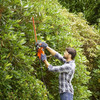 BLACK+DECKER 420W Electric Hedge Trimmer, 45cm Dual Action Blade, 16mm Cut Capacity - BEHT201-GB – image 5