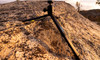 GoPro Tripod + Ballhead, Collapsible Aluminium Mini Tripod, 360° Ball Head, Waterproof, 1/4-20 Mount - ABTTR-001 – image 6