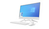 HP 24-df0029na, Intel Pentium Silver J5040, 4GB, 1TB HDD, 23.8" All In One PC
