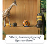 Amazon Echo Dot Kids 4th Generation Smart Speaker With Alexa - Tiger