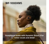 Sony WF-1000XM5 True Wireless Noise Cancelling Earbuds Black 