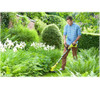 Ryobi 18V ONE+ Cordless Grass Trimmer & Edger 25/30cm Bare Tool Garden Power
