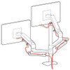 Ergotron LX Dual Stacking Monitor Arm Tall Pole Desk Mount for 2 Screens to 40"