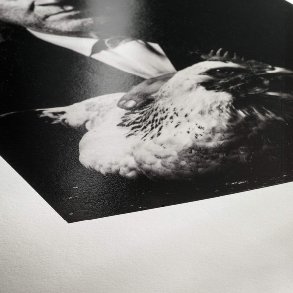 Hahnemühle Photo Rag Baryta Inkjet Paper, 315gsm, High Gloss, A3, 25 Sheets – image 2