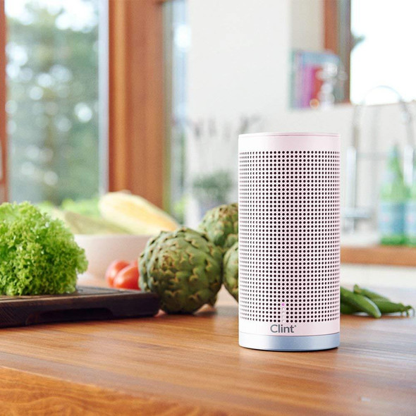 Clint Freya Bluetooth Speaker - Dusty Rose