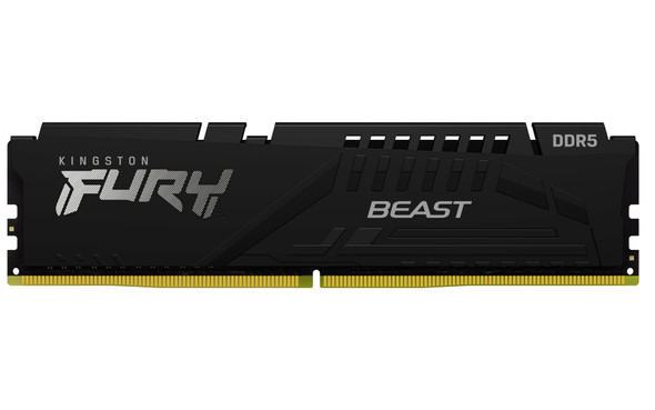 Kingston FURY Beast KF556C36BBE-16 16GB (1x 16GB) DIMM System Memory, 5600MHz, DDR5, CL36, Black, Intel XMP, AMD EXPO