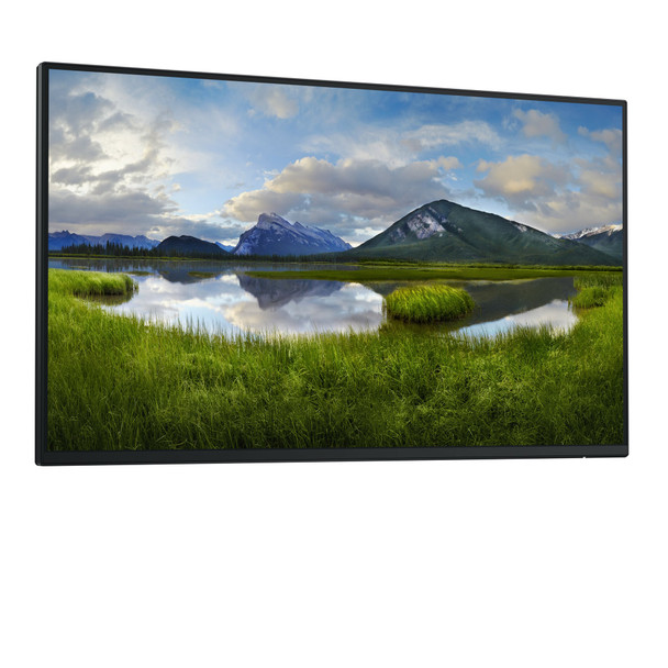 Dell Pro 24" 1080p FHD IPS PC Monitor HDMI DisplayPort USB-C Hub VESA No Stand