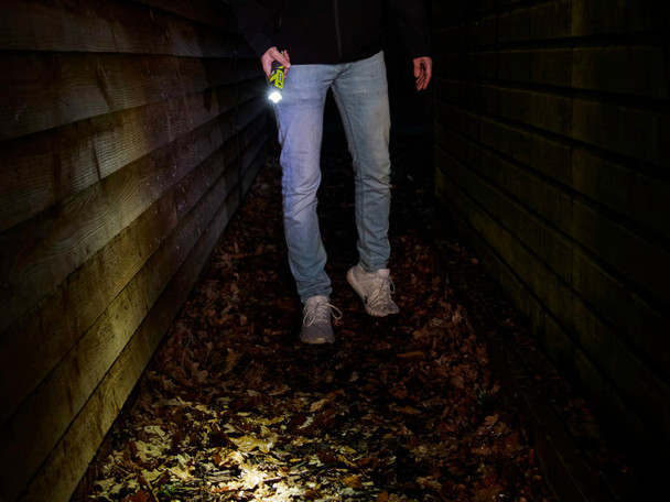 Ryobi RLP4-120G 4V Cordless Pivoting Head Light with 1 x 4V 2.0Ah USB Lithium Battery - RLP4-120G – image 6