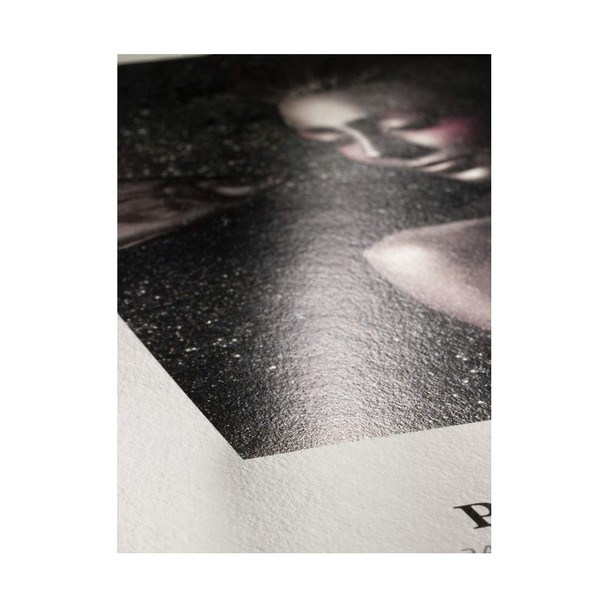 Hahnemühle FineArt Photo Rag Metallic 340 g/m² Inkjet Paper, 44" Roll, 1118 mm x 12 m – image 2
