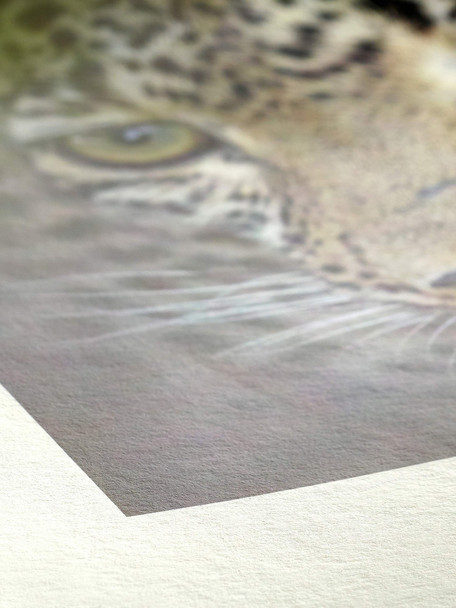 Hahnemühle Digital FineArt Bamboo Inkjet Paper, 290gsm, A3+, 25 Sheets, Natural White – image 3