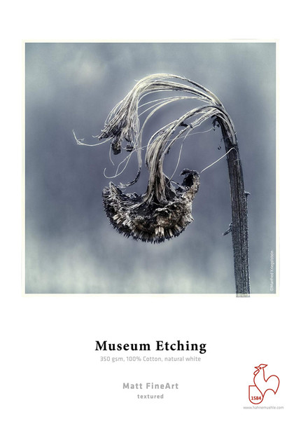 Hahnemühle Digital FineArt Museum Etching Paper, 350gsm, A4, Natural White, 25 Sheets – image 2